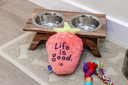 A pink dog bed with the words "Life is good" on it.