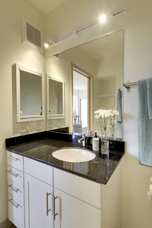 Bathroom in the Flat D, studio apartment floor plan with large mirror, towel bar, white cabinets and black granite countertop