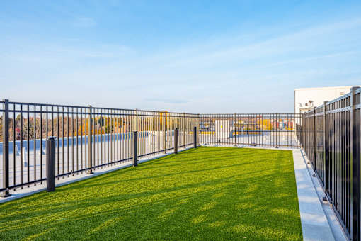 Wooftop Dog Park