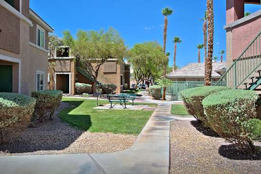 A sunny day in a residential area with a bench and a tree.