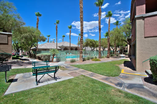 a park bench on a sidewalk near a pool and palm trees