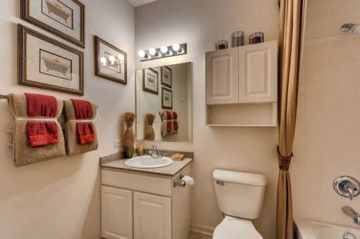 Hall Bathroom at The Sanctuary of Lake Villa, Lake Villa, IL, 60046