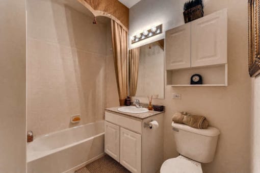 Hall Bathroom at The Sanctuary of Lake Villa, Lake Villa, Illinois