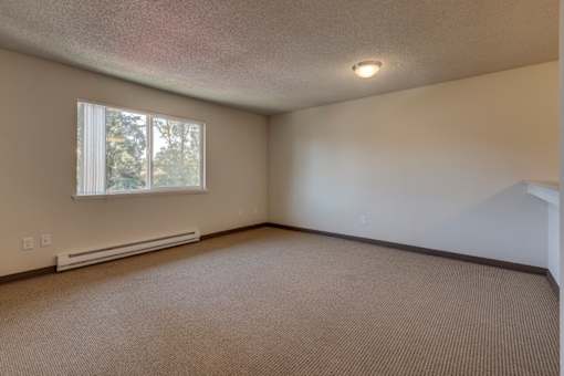 A room with a window and a radiator on the wall.