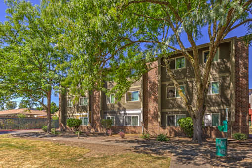 A tree in front of a building with a fence in the background.