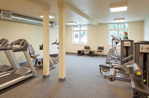 A gym with treadmills, exercise bikes and other equipment.
