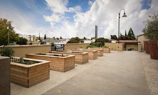 A series of raised garden beds are arranged in a row on a concrete surface.
