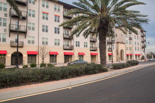 A tall palm tree stands in front of a building with red awnings.