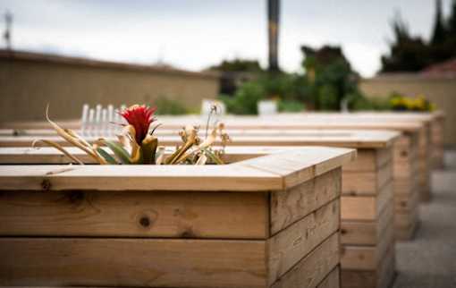 A row of wooden planters with a red flower in the front.