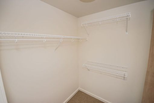 A white closet with two shelves and a carpeted floor.