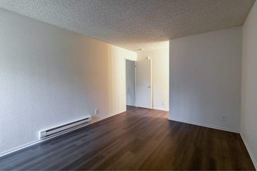 A room with a wooden floor and a white wall with a doorway.