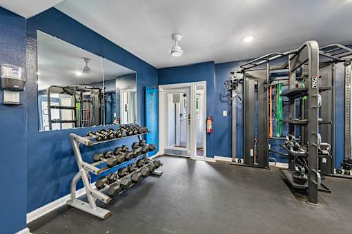 A gym with blue walls and a variety of equipment.