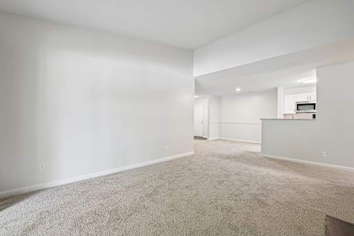 A large, empty room with carpeted flooring and white walls.