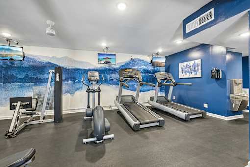 A gym with a blue wall and a painting of a mountain scene.