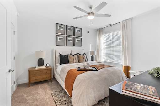 A bedroom with a large bed, a ceiling fan, and a nightstand with a lamp.