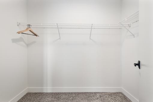 Empty walk-in closet with wire shelving and carpet