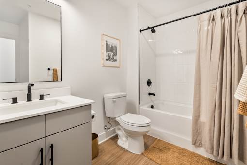 Bathroom with a tub and shower combination and gray vanity