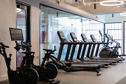 Cardio area at Cole Motor Apartments in Indianapolis featuring Matrix treadmills, stationary exercise bikes, an elliptical machine, and large windows.