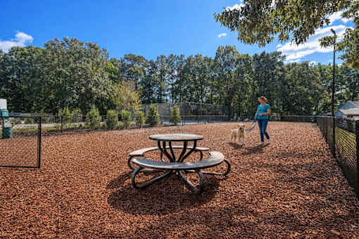 A woman is walking her dog in a park with a picnic table.