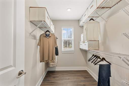 Large walk-in closet at Mural Lewis Center featuring built-in shelving, hanging racks, wood-style flooring, and organized storage space with natural light