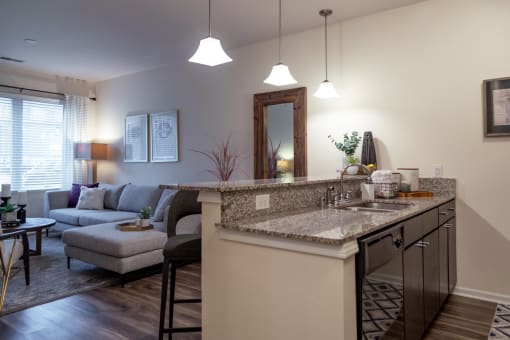 an open kitchen and living room with a couch and a table at 310 at Nulu Apartments-Student, Louisville Kentucky
