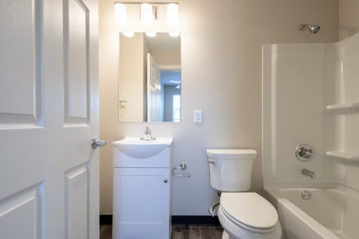a bathroom with a toilet and a sink and a mirror