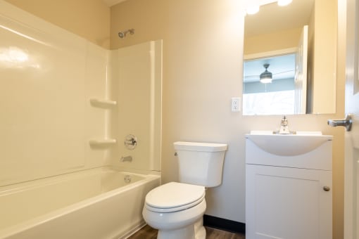 a bathroom with a toilet and a sink and a bath tub