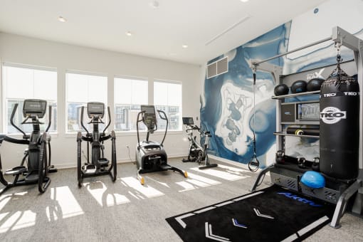 Cardio Machines In Gym at Whetstone Flats, Nashville, 37211