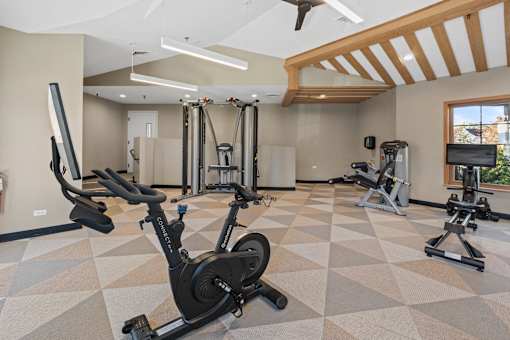 Gym at The Winds at Poplar Creek Apartments , Illinois 60194