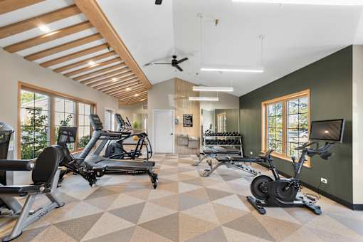 Gym area at The Winds at Poplar Creek Apartments , Schaumburg, IL