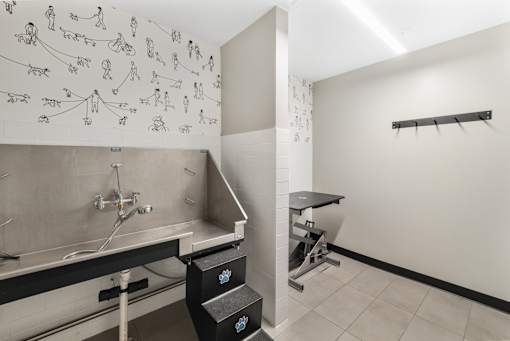 Dog wash at The Winds at Poplar Creek Apartments , Schaumburg, 60194