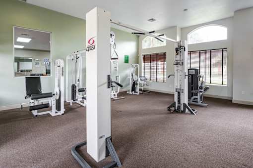 A gym with a variety of equipment including a squat rack.