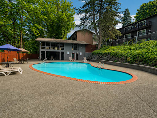 A small pool surrounded by a concrete patio and trees.