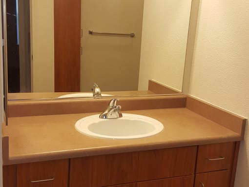 Bathroom vanity with sink at DOVER WOODS SENIOR APARTMENTS, California, 94533