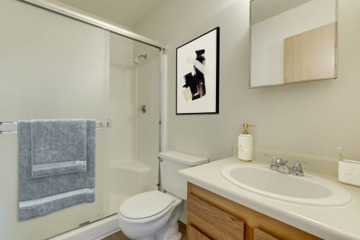 Apartments In Sherwood For Rent - Bathroom With Walk-In Shower, Toilet, Sink, And Vanity Mirror.