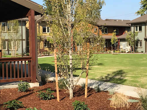 Green Space With Gazebo at Bridge Meadows Beaverton 55+, Beaverton Oregon