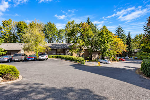 A parking lot with cars and trees in the background.