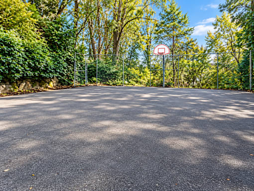 A basketball court surrounded by trees and a fence.