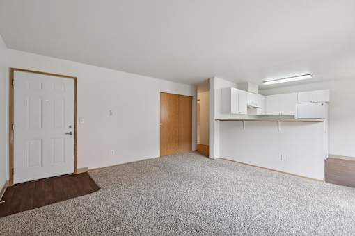 A room with a white door and a brown rug.