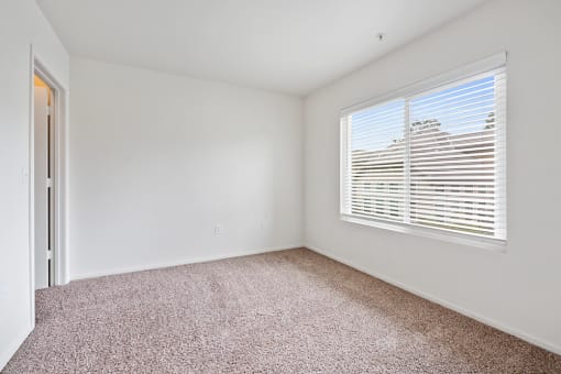 Large Window at AGAVE APARTMENTS, Elk Grove California