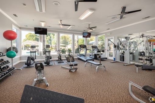 a gym with cardio machines and other exercise equipment and windows