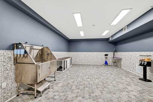 Pet grooming area at Vintage at Marine View Senior 55+ Apartments, Everett