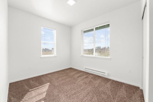 Two-Bedroom Apartments in Olympia, WA - Briggs Village - Spacious Bedroom with Large Windows, Plush Carpeting, and Natural Sunlight From Windows