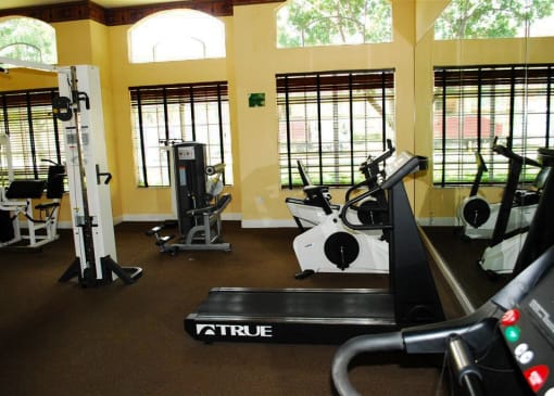 Gym with cardio and weight  fitness equipment