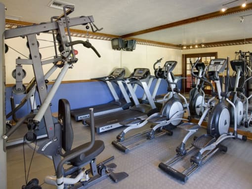 Gym with cardio fitness equipment at Doral Terrace, Doral, 33178