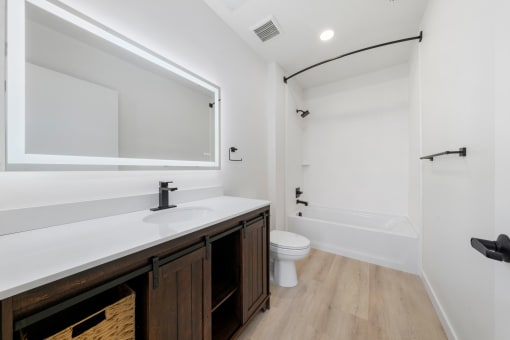 a bathroom with a large mirror and a sink and a toilet