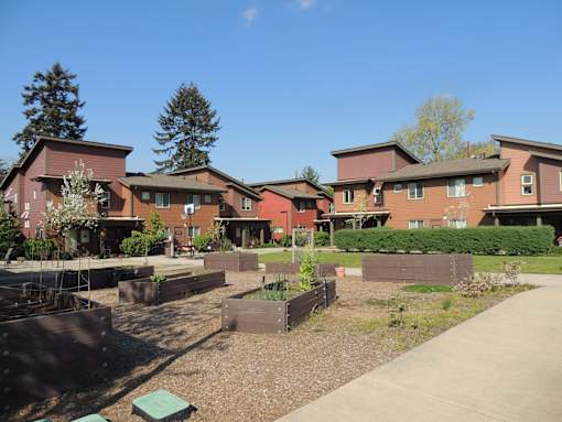 Community Garden at Bridge Meadows North Portland 55+, Portland