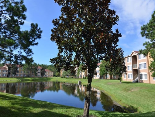 lake views and mature landscaping at The Edge at Town Center Apartments, Florida