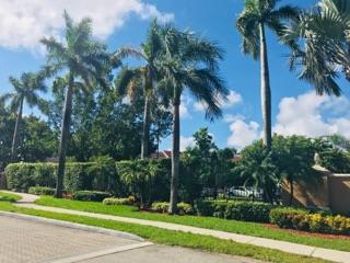 Landscape near road Golden Lakes Apartments Miami Florida