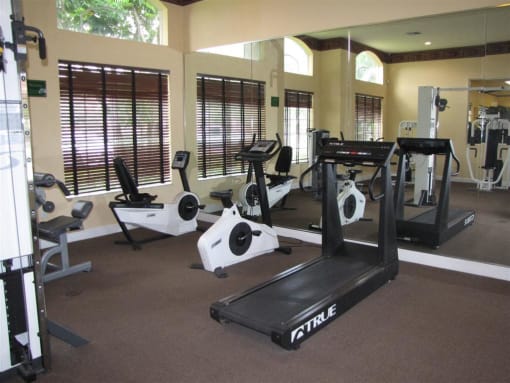 Gym with cardio and weight  fitness equipment at Eagles Landing, Florida